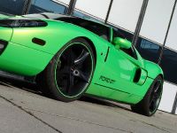 Geiger HP790 Ford GT (2009) - picture 3 of 8