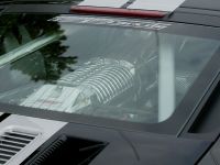 GeigerCars FORD GT (2008) - picture 38 of 60