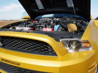 GeigerCars Ford Mustang Shelby GT640 Golden Snake (2011) - picture 6 of 12