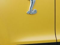 GeigerCars Ford Mustang Shelby GT640 Golden Snake (2011) - picture 11 of 12