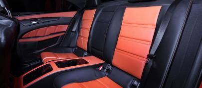 German Special Customs Mercedes-Benz CLS63 AMG Stealth (2013) - picture 4 of 11
