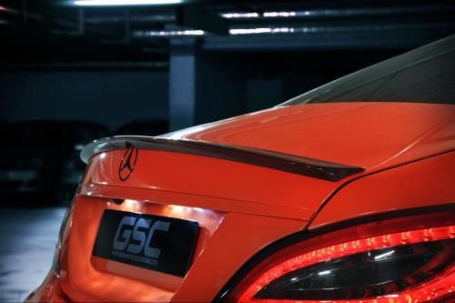 German Special Customs Mercedes-Benz CLS63 AMG Stealth (2013) - picture 9 of 11