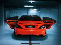 German Special Customs Mercedes-Benz CLS63 AMG Stealth (2013) - picture 8 of 11