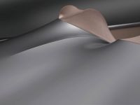 GINA The BMW Group Design philosophy (2008)