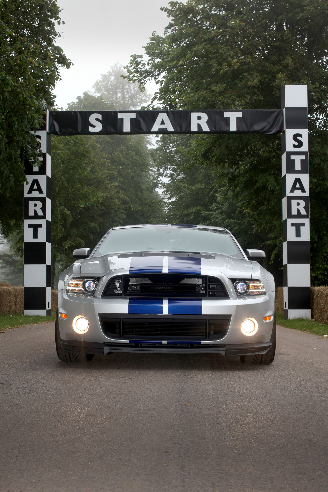 Goodwood Ford Mustang Shelby GT500