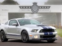 Goodwood 2013 Ford Mustang Shelby GT500 (2012) - picture 1 of 3