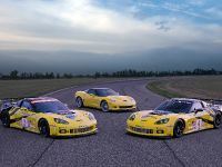 GT2 Chevrolet Corvette C6.R (2010)