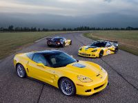 GT2 Chevrolet Corvette C6.R (2010)