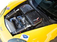 GT2 Chevrolet Corvette C6.R (2010) - picture 19 of 25