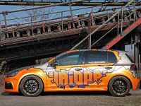 Haiopai Racing Cam Shaft Volkswagen Golf VI (2014)