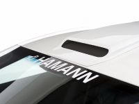 Hamann Aston Martin V8 Vantage (2008) - picture 22 of 25