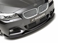 Hamann BMW 5 Series F10 (2011)