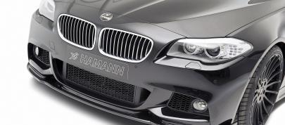 HAMANN BMW 5 Series Touring F11 (2011) - picture 4 of 10