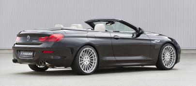 HAMANN BMW 6-Series Cabrio F12 (2012) - picture 23 of 31