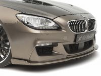Hamann BMW F06 Gran Coupe (2012)