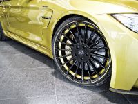 Hamann BMW M4 F82 (2014) - picture 7 of 9