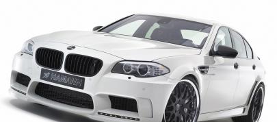 Hamann BMW M5 (2012) - picture 4 of 38