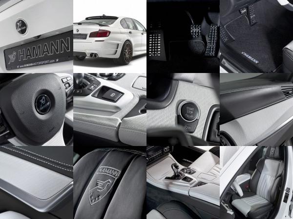 Hamann BMW M5 (2012) - picture 25 of 38