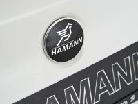 Hamann BMW M5 (2012)