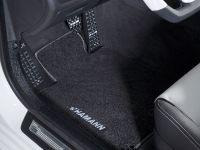 Hamann BMW M5 (2012)