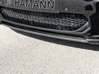 Hamann BMW X5 F15 (2014) - picture 6 of 10