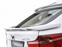 HAMANN BMW X6 (2008)