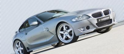 HAMANN BMW Z4 M Coupe (2006) - picture 20 of 23