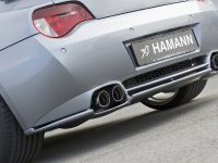 HAMANN BMW Z4 M Coupe (2006)
