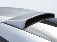 HAMANN BMW Z4 M Coupe (2006) - picture 3 of 23