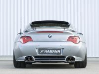 HAMANN BMW Z4 M Coupe (2006) - picture 6 of 23