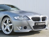 HAMANN BMW Z4 M Coupe (2006) - picture 22 of 23