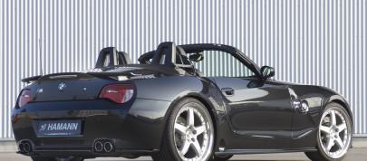 HAMANN BMW Z4 M Roadster (2006) - picture 4 of 21