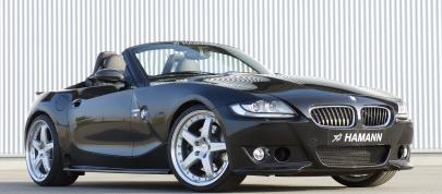 HAMANN BMW Z4 M Roadster (2006) - picture 7 of 21