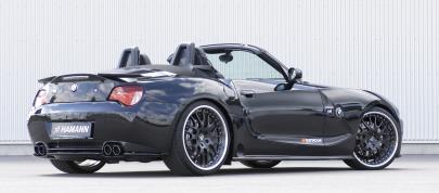 HAMANN BMW Z4 M Roadster (2006) - picture 20 of 21