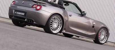 HAMANN BMW Z4 Roadster (2007) - picture 15 of 15
