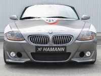 HAMANN BMW Z4 Roadster (2007) - picture 2 of 15