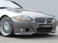 HAMANN BMW Z4 Roadster (2007) - picture 6 of 15