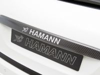 Hamann Guardian Evo Porsche Cayenne II (2011) - picture 14 of 30