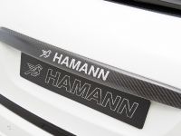 Hamann Guardian Evo Porsche Cayenne II (2011)