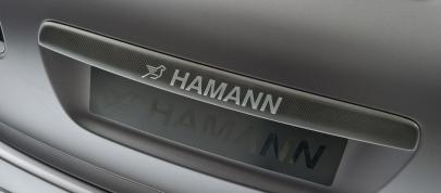 Hamann Porsche Guardian (2011) - picture 23 of 24