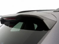 Hamann Porsche Guardian (2011) - picture 14 of 24
