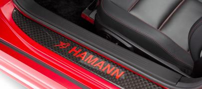 Hamann Hawk Mercedes-Benz AMG SLS Roadster (2012) - picture 20 of 31