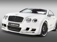 Hamann Bentley Continental GT Imperator (2009) - picture 7 of 34