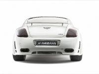 Hamann Bentley Continental GT Imperator (2009) - picture 11 of 34
