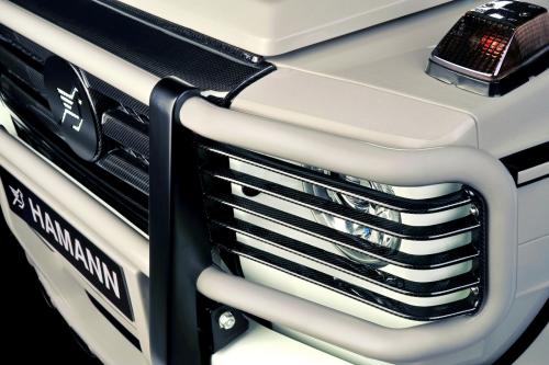 HAMANN Mercedes-Benz G55 AMG Typhoon (2009) - picture 8 of 21