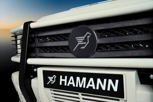HAMANN Mercedes-Benz G55 AMG Typhoon (2009) - picture 9 of 21