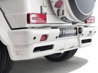 HAMANN Mercedes-Benz G55 AMG Typhoon (2009) - picture 21 of 21