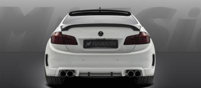 Hamann Mi5Sion BMW F10 M5 (2013) - picture 12 of 21