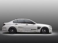 Hamann Mi5Sion BMW F10 M5 (2013)