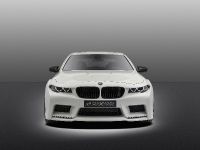 Hamann Mi5Sion BMW F10 M5 (2013) - picture 13 of 21